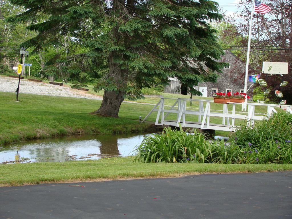Bay Leaf Cottages & Bistro Lincolnville Exterior foto